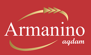 Armanino aqdam Audit Firm